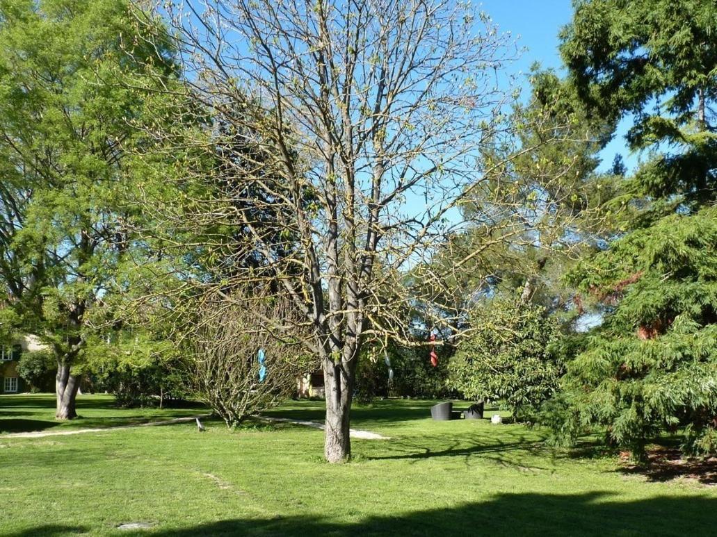 أفينيون Domaine De Rhodes B&B المظهر الخارجي الصورة